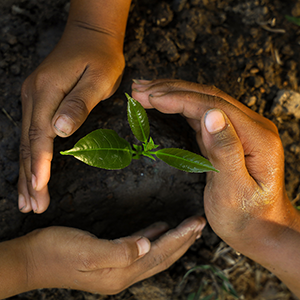 Family Farming